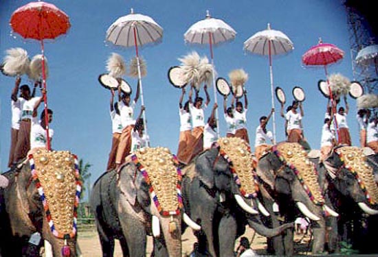 pooram-thrissur-pooram-festival