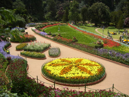 botanical garden Ooty