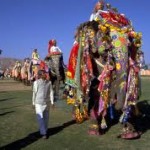 Elephant Festival