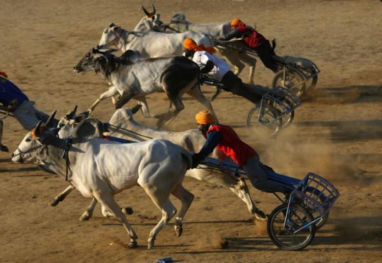 Kila Raipur Games