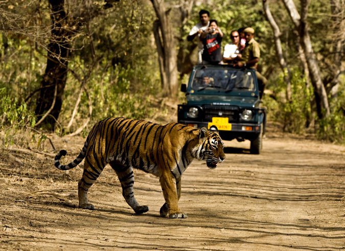 Jeep Safari