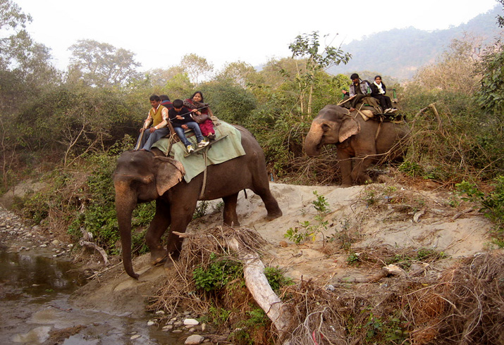 Corbett National Park in Uttarakhand