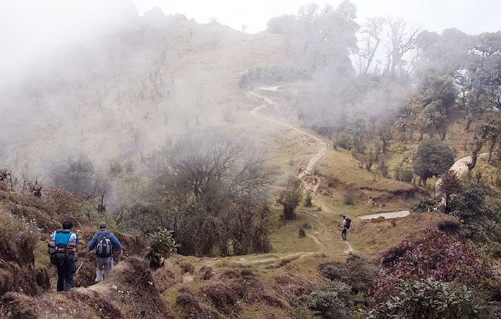 Singalila Kanchenjunga Trek 