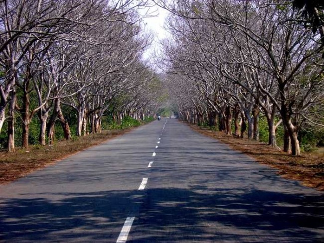 Puri to Konark on NH 203